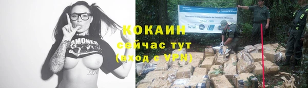 гашик Лиски