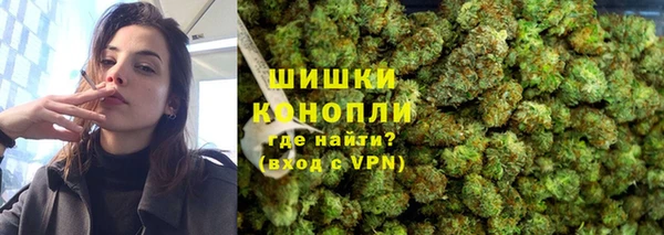 дмт Калининец