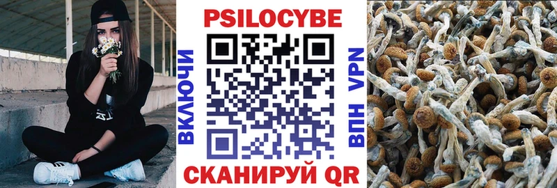 Псилоцибиновые грибы прущие грибы Купить где Кировск