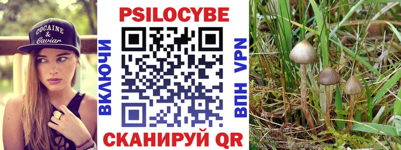 Галлюциногенные грибы Psilocybe Кировск